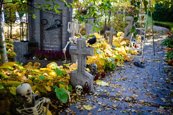 Willa na Jaśkowej Dolinie w Gdańsku