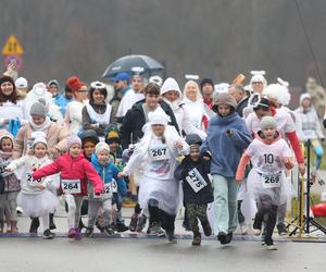 Bieg Fundacji Śląskie Anioły w Katowicach