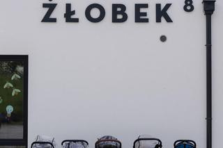 Edukacja estetyczna najmłodszych: metalografiki i murale na trójmiejskich szkołach, przedszkolach, żłobkach