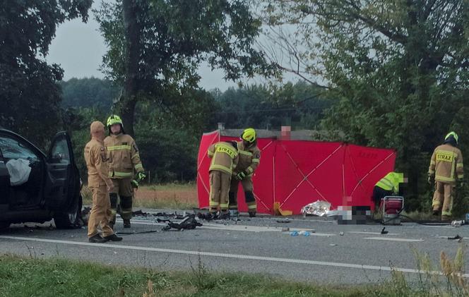 : Mama zginęła w wypadku, dziecko z urazem głowy trafiło do szpitala. Tragiczny finał brawurowej jazdy na trasie do Warszawy