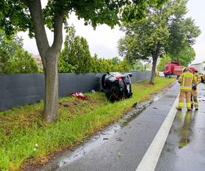Wypadek na DW 309 koło Leszna. Zderzyły się dwa samochody
