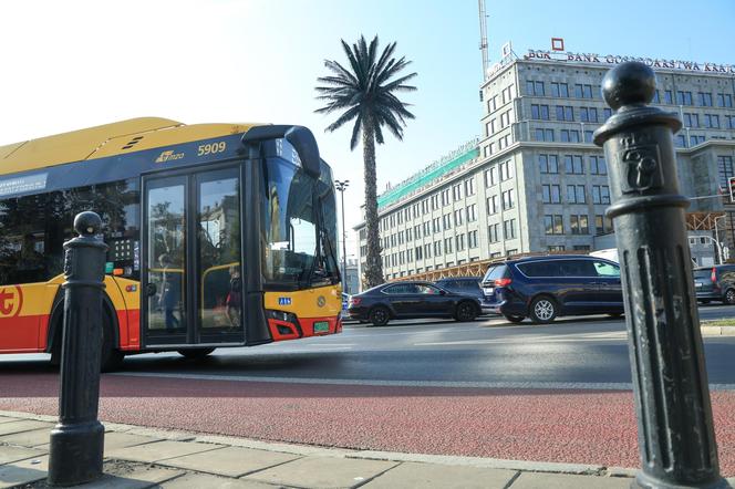 Palma przy rondzie de Gaulle’a w Warszawie 