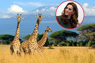 Księżna Kate wyjedzie do Afryki! Miejsce bliskie jej sercu