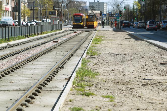 Miała być trawa a jest szary beton