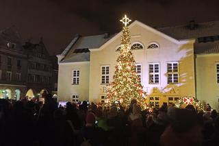 W sercu olsztyńskiej Starówki zapłonęła choinka! Odpalamy święta z Miejskim Ośrodkiem Kultury