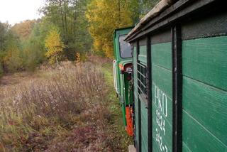 Uwaga! Szukają wolontariuszy do opieki nad Starachowicką Kolejką Wąskotorową [GALERIA]