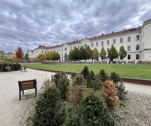 Park im. Wisławy Szymborskiej w Krakowie