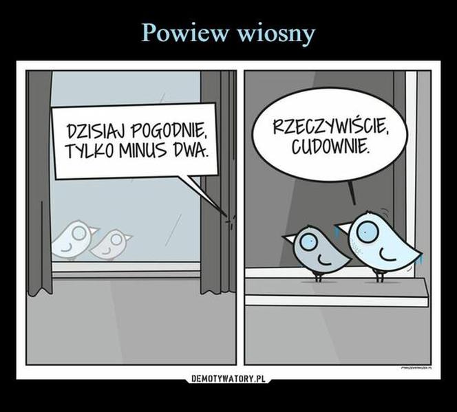Memy o zimie roztapiają smutki. Te śnieżne obrazki rozbawią cię do łez [TOP 75]
