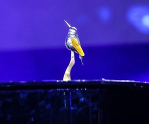 Bursztynowy Słowik 2024 - WYNIKI są już znane. Wiemy kto wygrał prestiżową statuetkę