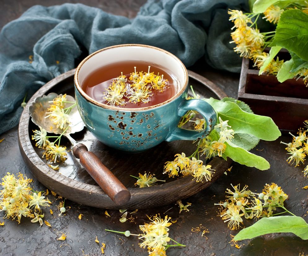 Rośliny napotne: rośliny, które obniżają gorączkę