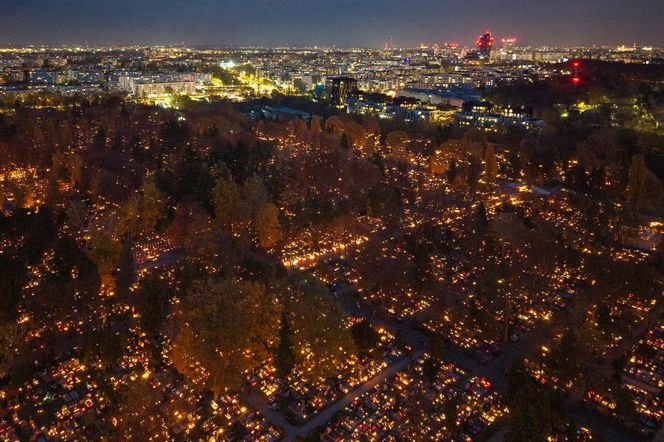 Tysiące zniczy rozświetliło polskie cmentarze. Niezwykły widok po zmroku