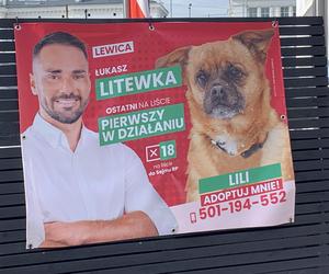 Plakaty wyborcze w Sosnowcu to rewia kreatywności