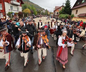 Owce opanowały Szczawnicę. Tak wyglądał redyk jesienny w małopolskim uzdrowisku