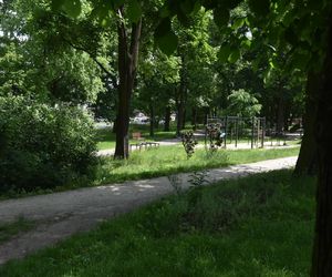 Szaleniec zaatakował Klaudię w parku. Nowe ustalenia