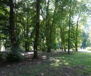 Park Miejski w Sandomierzu
