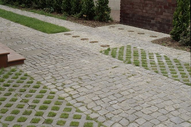 Nawierzchnie z roslinami