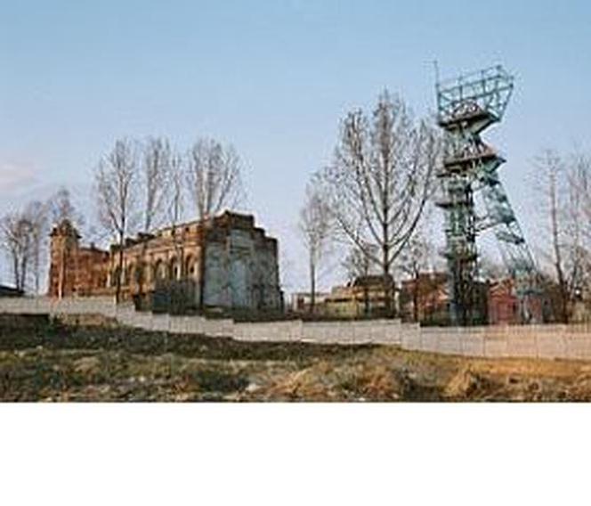 Muzeum Śląskie