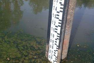 Niski stan Wisły w Warszawie