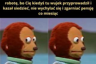Zatruta Odra. Internauci komentują reakcje rządu [MEMY] 