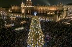 Najpiękniejsza choinka na świecie znajduje się w Polsce! Gdzie ją zobaczyć? 