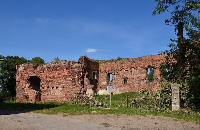 Radziki Duże
