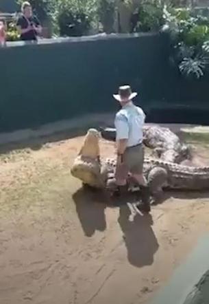  Krokodyl rzucił się na opiekuna podczas przedstawienia dla dzieci! Wszystko się nagrało. WIDEO
