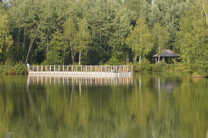 Park Leśny Tetmajera w Bronowicach