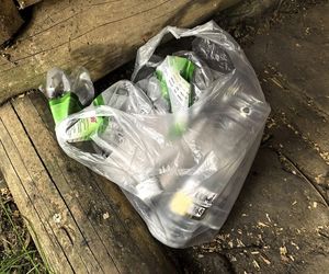 Leśnicy z Bieszczad apelują do turystów. Grożą za to surowe kary 