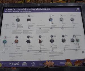 Rezerwat przyrody Meteoryt Morasko