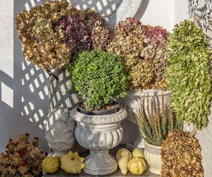 Jesienne dekoracje balkonu i tarasu