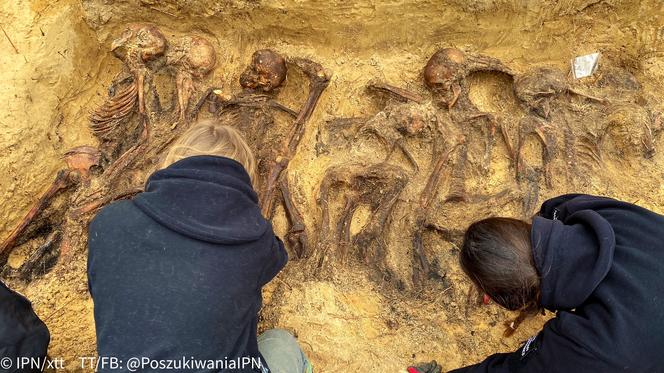 Szczątki 20 osób zakopane w lesie pod Warszawą