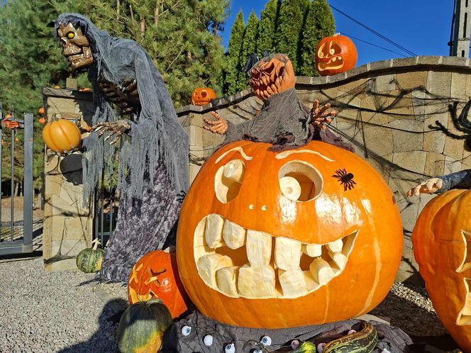 U Łukasza z Pawłowa hasło "cukierek albo psikus" nabiera innego wymiaru. Najbardziej halloweenowy dom świętokrzyskiego
