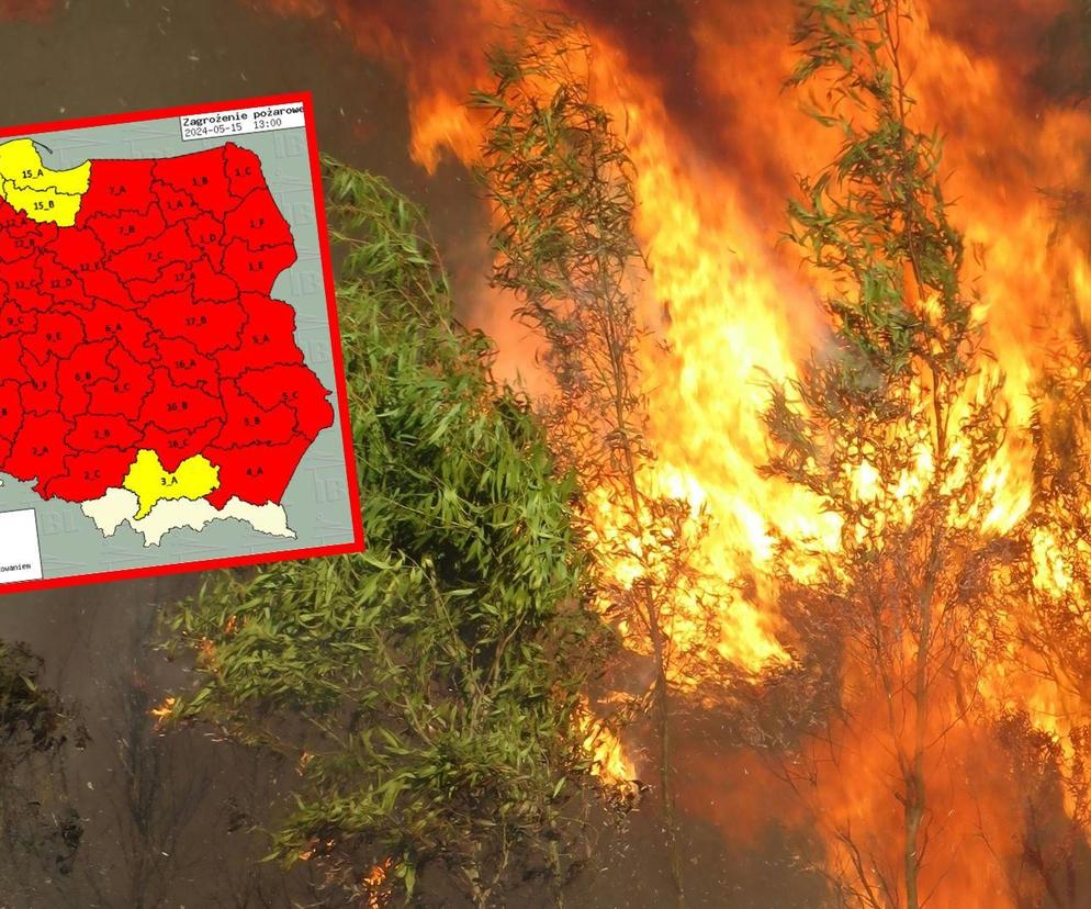 Cała Polska na czerwono! Ekstremalne zagrożenie w lasach 