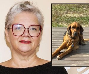 Dorota Zawadzka po latach opieki oddaje psa: „To koszmar, z którego nie umiemy wyjść”