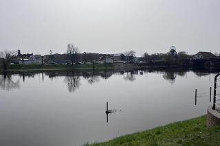 Warta w Gorzowie coraz niżej