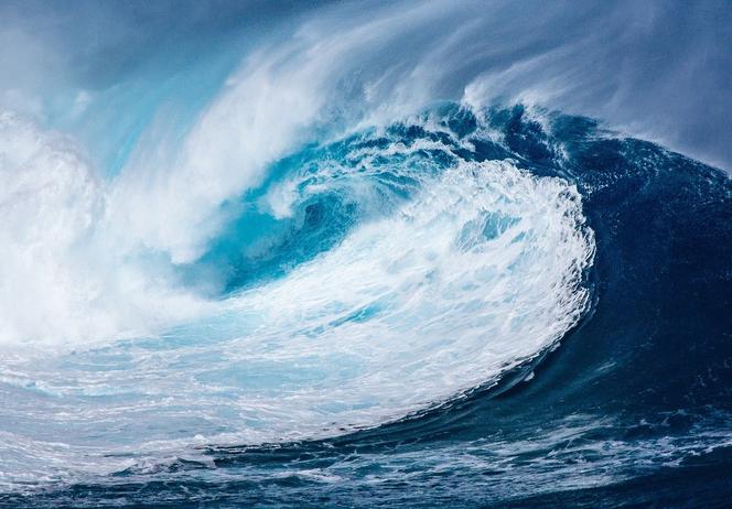 Gigantyczne tsunami uderzy w Tokio? Ogromne zagrożenie dla igrzysk