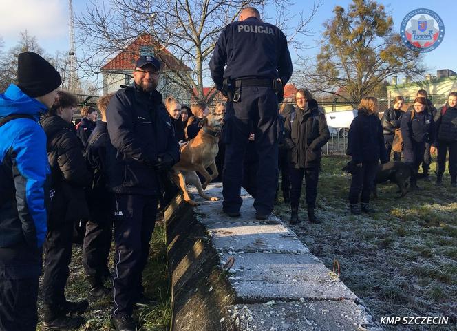 Pies służbowy