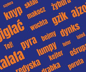 Quiz: Najoryginalniejsze słowa w gwarze poznańskiej. Wiesz co oznaczają? 