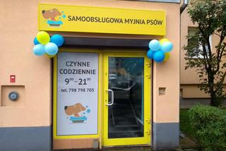 Samoobsługowa myjnia psów we Wrocławiu