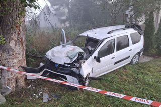 Auto z Gruzinami rozbiło się na drzewie. 7 osób w szpitalu