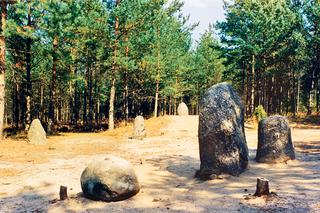 Super Fokus : Tajemnicze kamienne kręgi w Polsce