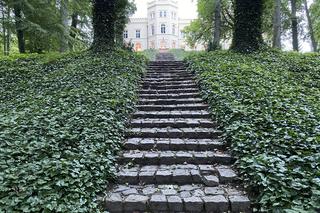 Pałac Mierzęcin w Lubuskiem - zdjęcia rezydencji