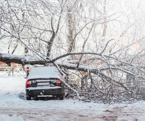 Konkretne opady śniegu zmierzają do Polski. Jest data ataku zimy