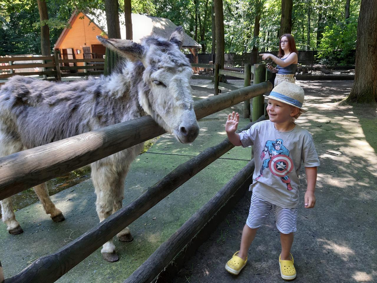 Krakowski Ogród Zoologiczny czeka na turystów! Zobacz jak zwierzęta spędzają lato