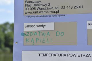 Sinice na jeziorku Czerniakowskim
