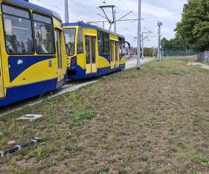 Tory prowadzą na trawnik. Taki widok przy ul. Legionów w Toruniu