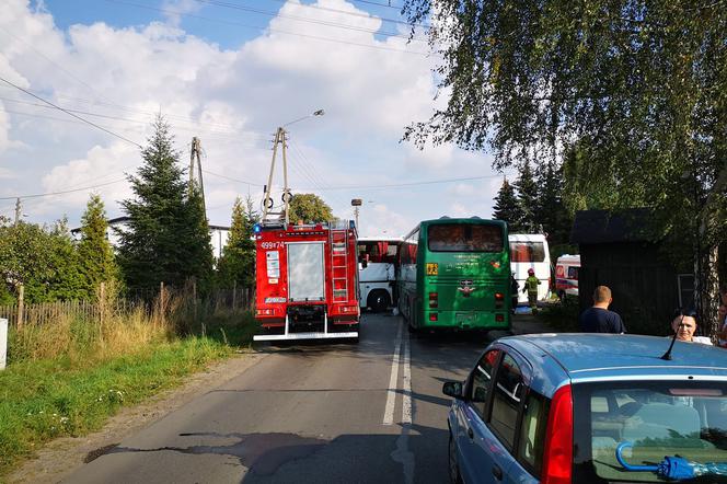 Dramatyczny wypadek w Pankach. Zderzyły się dwa autobusy szkolne. Są ranni!