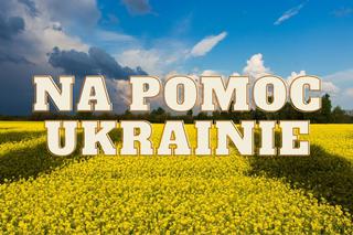 Pomoc dla Ukrainy – Rzeszów: Jak pomóc Ukraińcom, którzy znaleźli się w Rzeszowie 