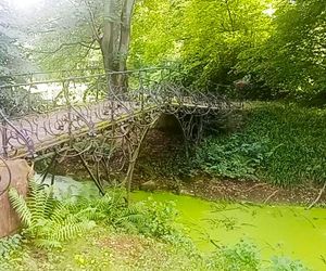 Ohlsdorfer Friedhof w Hamburgu