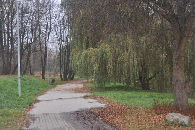 Dolina Silnicy i Zalew Kielecki jesienią